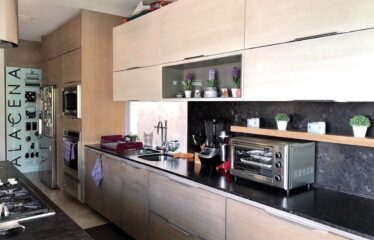 Casa en venta en fraccionamiento El Palomar
