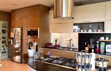 Casa en venta en fraccionamiento El Palomar