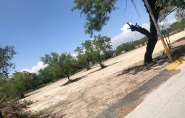 Terreno en venta en Pesquería Centro.