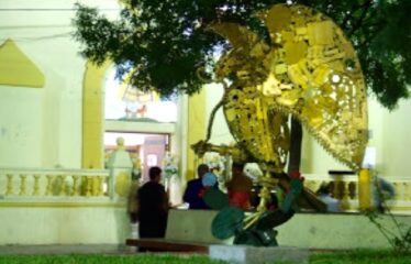 Terreno en venta en Pesquería Centro.