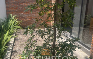 Casa en venta en Punto Sur Residencial, Tlajomulco de Zúñiga