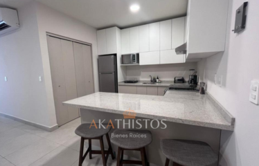Venta de departamento frente a Parque Fundidora