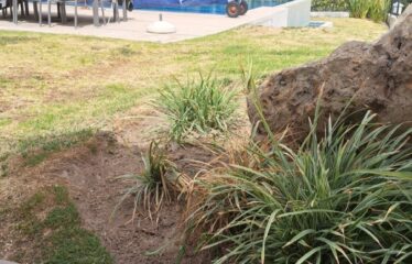 Casa en venta en El Palomar segunda sección.