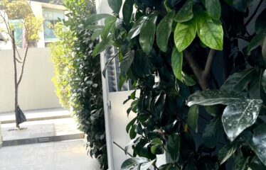 Casa en venta en Bugambilias 1ra sección